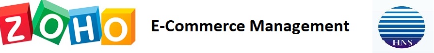 hns - e-commerce management - logo